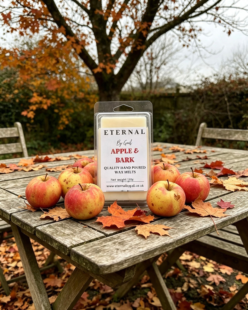 Apple & bark cosy warm spice Autumn Halloween soy wax 220g candle